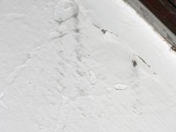 Remont rozety (2009)