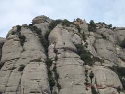 Schola Światło w Montserrat (29.01.2012)