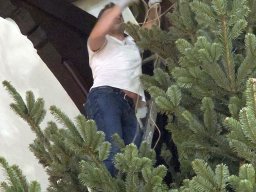 Strojenie kościoła (15.12.2025)