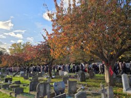 Procesja na Cmentarzu Gunnersbury (02.11.2025)