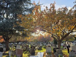 Procesja na Cmentarzu Gunnersbury (02.11.2025)