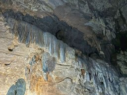 Meksyk - śladami Cristiady (7-18.01.2026)