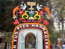 Meksyk - śladami Cristiady (7-18.01.2026)